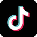 Standard TikTok Logo